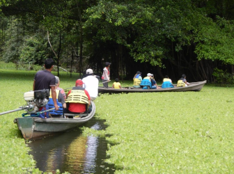 Amazonas, Tradition, Jungle and Life