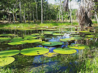 Colombia country of unique wonders