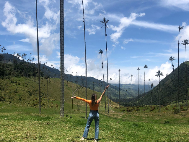 Person overlooking the Cocora Valley among wax palms