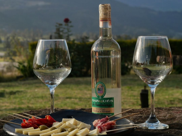 Wine tasting at a Colombian vineyard
