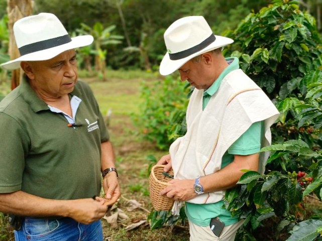 Coffee farmers during a coffee experience in the Coffee Region.