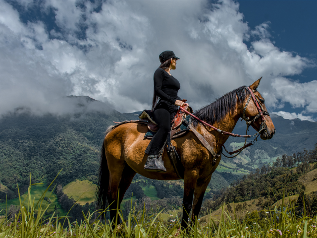 Scenic horseback adventure surrounded by lush mountains