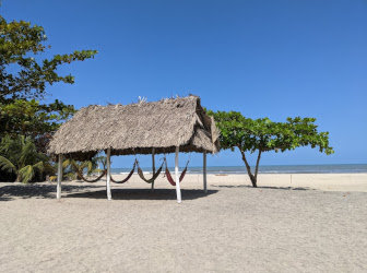 Tay Beach surrounded by palm trees and tropical vegetation.