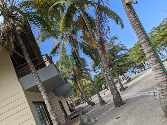 Tay Beach surrounded by palm trees and tropical vegetation.